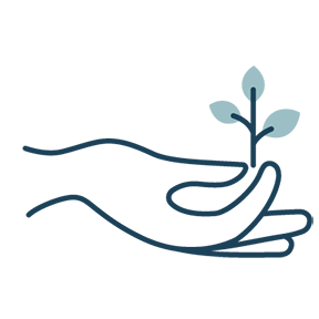 Hand Holding Plant.